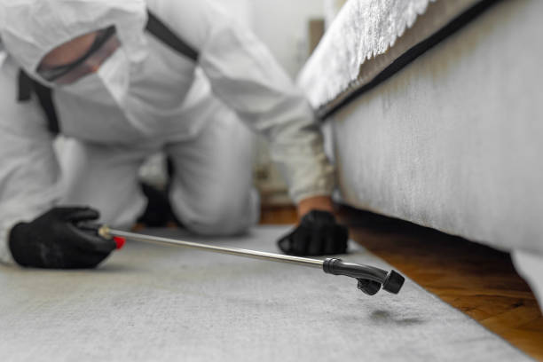 Professional Ant Control technician working in Meadowlakes, TX