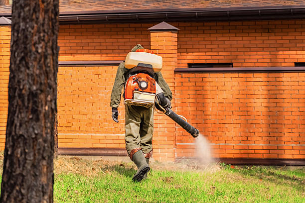 Trusted Bed Bug Control service in Meadowlakes, TX - Nex Pest Control
